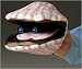 Folkmanis Scallop Puppet
