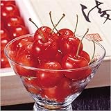 �Ⴈ�����M�t�g��k�C���Y�������ځu��z�v�˔�����