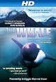 The Whale [HD]
