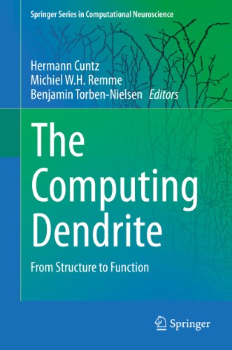 The Computing Dendrite: From Structure to Function: 11 (Springer Series in Computational Neuroscience)
