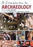 A companion to archaeology