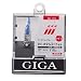 カーメイト GIGA ヘッドライトハロゲンバルブ プレミアムメタル H1 BD110
