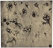 Leonardo da Vinci (Botanical studies, including Dog rose, violet) Art Poster Print - 11x17