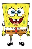 Go Fly A Kite Spongebob Stunt Kite