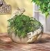 CHERUBS MOON PLANTER