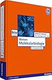 Image de Watson Molekularbiologie (Pearson Studium - Biologie)