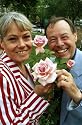 Wendy Richard - Eastenders - Photographic Art Print - 28x35cm - Art247 Poster Print