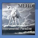 Instrumental Paradise Volume 8