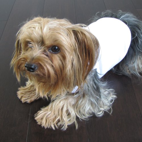 Cool White Dog Shirt Medium