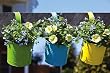 Brightly Colored Planters with Hook for Hanging