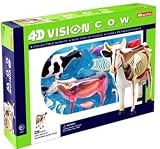 4d Vision Cow Anatomy Model Kit