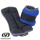 VISION QUEST�ʥӥ���󥯥����ȡ� �ե��åȥͥ��������� 1.5kg��2 �֥롼 VQWE05