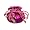 Cherry Blsm- Fuchsia