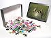 Photo Jigsaw Puzzle of Na, Usa, Florida, from Danita Delimont