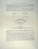 1948 FORAMINIFERA ASIA KURDICA DISCOIDEA MICROSTRUCTURE