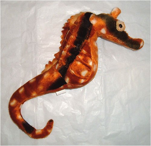 Childrens Toyshop  Toys : Sea Horse Finger Puppet