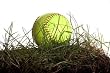 Softball in Grass - 18"W x 12"H - Peel and Stick Wall Decal by Wallmonkeys