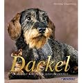 Dackel: Kleiner Hund mit gro�em Herz