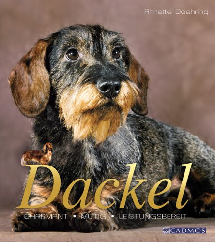 Dackel: Kleiner Hund mit großem Herz, Buch