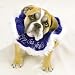 Chaunukah Blue Velvet Scrunchy Dog Collar