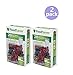FoodSaver 28 Pint-sized Bags with unique multi layer construction, BPA free (2 pack)