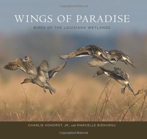 wings of paradise birds of the louisiana wetlands