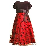 Girl Clothes Christmas BURGUNDY Floral Plus Size Dress RARE EDITIONS 10.5-18.5