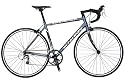 Schwinn Fastback Sport Adult Road Bike