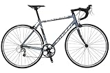 Schwinn Fastback Sport Adult Road Bike