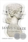 Janus's gaze : essays on Carl Schmitt