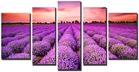 iPainting--Canvas Prints Decorative Modern Art Purple Lavender Field on Canvas for Home Wall Decoration. Ready to hang.