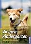 Welpenkindergarten: Pr�gung, Spiel und Erziehung