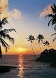 Tropical Sundown 366 Wall Mural