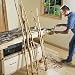 Diamond Willow Sticks