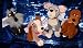 Disney's Lady and the Tramp 6 Beanie Set