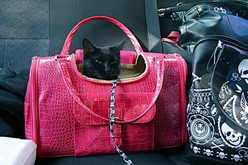 Faux-Crocodile Travel Bag w/Matching Coin Purse Tote Carrier -- Pink