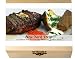 NEW YORK STRIP Gewürzset und Rezept für das New Yorker Steak. 8 Gewürze befinden sich in einem dekorativen Holzkasten -- Beinhaltet die Geschichte des Gerichtes, eine Inhaltsbeschreibung der Gewürze, das Originalrezept und eine Einkaufliste. Ein ideales Geschenk für Kochkünstler & Hobbyköche, solche, die es werden wollen und alle, die neugierig auf fremde Welten sind. Maße: 11,4 x 9,5 cm, 3,4 cm hoch