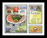 2008 Shea Stadium New York Mets MLB Framed 8x10 Photograph Final Season Milestone Collage - CLOSEOUT SPECIAL