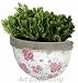 Esschert Design USA Aged Ceramic Rose Print Half Round Wall Planter