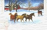 Horse Christmas Cards 