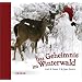 Das Geheimnis im Winterwald