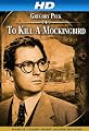 play video on Amazon Instant Video