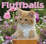 Fluffballs 2009 Wall Calendar 12 X 12