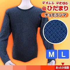 ひだまり チョモランマ紳士長袖丸首[Lサイズ]【冬のウォーキングに！保温力の高いスポーツウェア】
