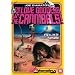 Love Goddess Of The Cannibals [DVD] [1978]