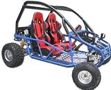 New 250cc Go Kart