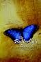 The Butterfly's Dance