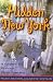 Hidden New York: A Guide to Places That Matter