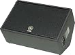 Yamaha CM12V 12" 2-Way Club Concert Series Monitor