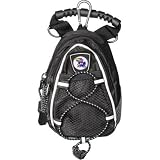 Kansas Jayhawks NCAA Mini Day Pack
